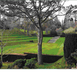 MINDFULNESS, RESILIENCE AND HARMONY